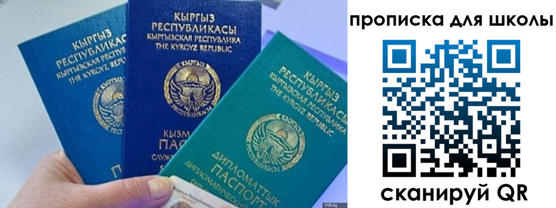 прописка регистрация в Суворове